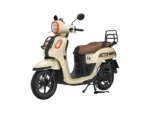 FAZZIO SPECIAL EDITION [2026]