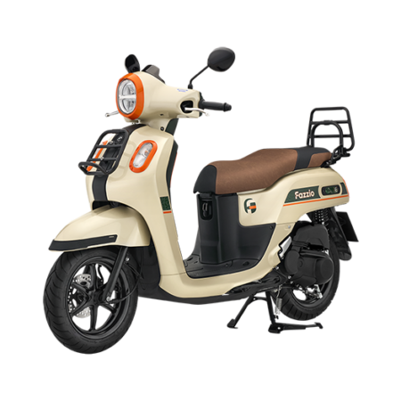 FAZZIO SPECIAL EDITION [2026]